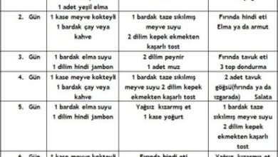 Haftalık Spor Programı Nasıl Oluşturulur?